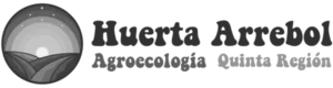 Agencia de Marketing