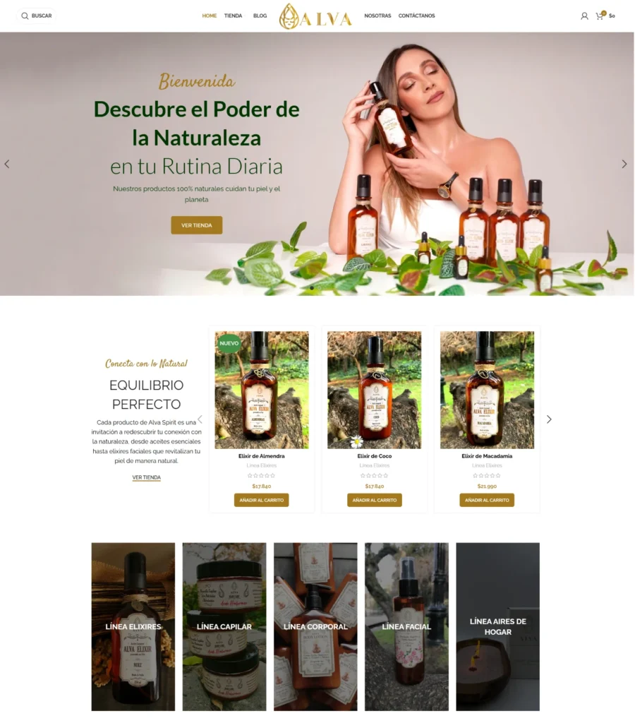 Desarrollo eCommerce en Chile: Caso Alva Spirit