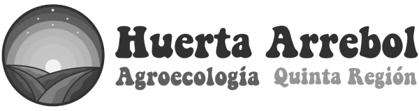 agencia de marketing full service