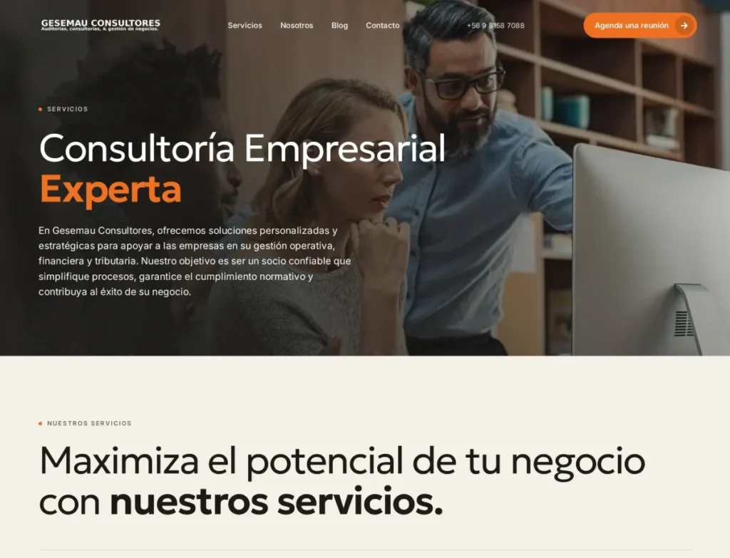 Página de servicios de Gesemau, ordenados por área